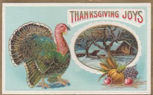 Thanksgiving Joys and Greetings from Homer NY, New York - pm 1911 - DB