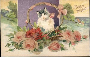 Christmas Kitty Cat Basket Border Glitter Roses c1910 Vintage Postcard