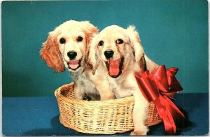 VINTAGE BLOND COCKER SPANIEL PUPPIES DOG IN BASKET PHOTOCHROME POSTCARD 41-25