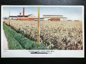 Vintage Postcard 1907-1915 Sugar Cane Field and Mill Texas