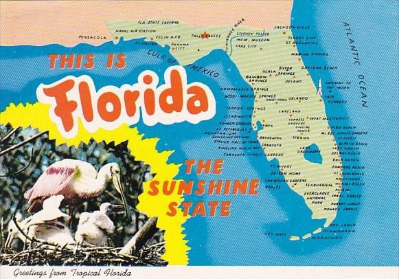 A State Map Of Florida Greetings From Tropical Florida