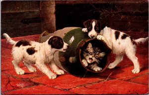 Kitten Hides Frum Pups in Vase Tucks 9351 An Unsafe Retreat c1908 Postcard X54