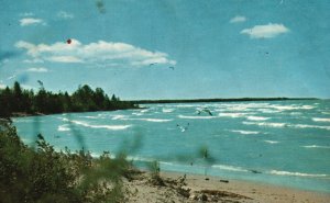 Vintage Postcard 1957 Sea Gulls & Waves Nature Water Wonderland Michigan MI