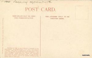 Agriculture C-1910 Farming Irrigated Gardens Utah Bureau postcard 9691