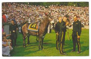 West Point NY Army Mascot Football Stadium Mule Michie 