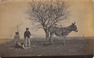 Black and White Photo Donkey Writing on back real photo