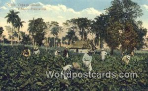 Tobacco Plantation Republic of Cuba Unused 