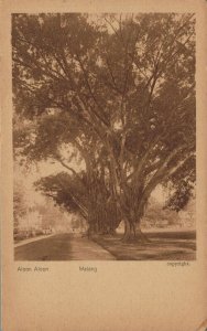 Indonesia Aloon Aloon Malang 04.84