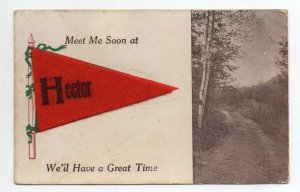 Hector Minnesota Greetings Felt Pennant Flag Vintage Postcard AA87634