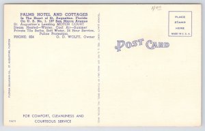 Linen~3 Views Palms Hotel & Cottages St Augustine Florida~c1910 Postcard