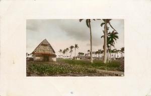 Hand-Colored RPPC Postcard Tobacco Plantation Cuba Caribbean Posted 1930s?