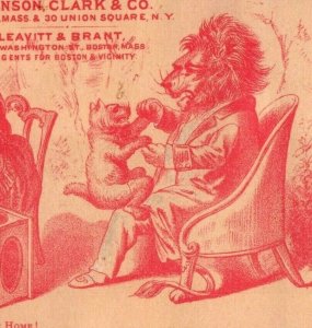 1880s Johnson Clark Co. New Home Sewing Machine Anthropomorphic Lion Family P105