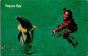 Porpoise Dolphin Hula Sea Life Park Oahu Hawaii Chrome Postcard B10