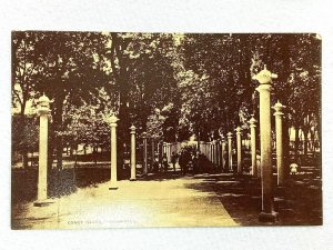 Vintage Postcard 1910's Coney Island Cincinnati OH Ohio Path Lined by Lights