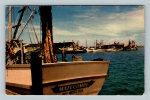 Key West FL, Shrimp Boats, Harbor, Chrome Florida Postcard