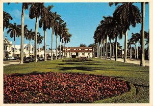 Famous Royal Poinciana Way , Palm Beach, Florida 