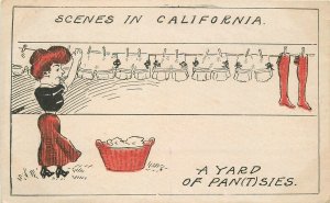 Postcard C-1910 Comic humor California Freddies artist impression 23-3305