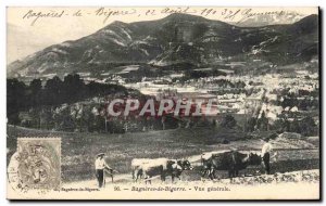 Old Postcard Bagneres de Bigorre General view Cows