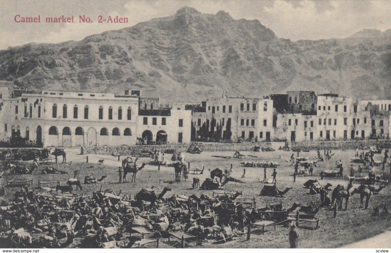 Aden , Yemen , 00-10s ; Camel Market #2