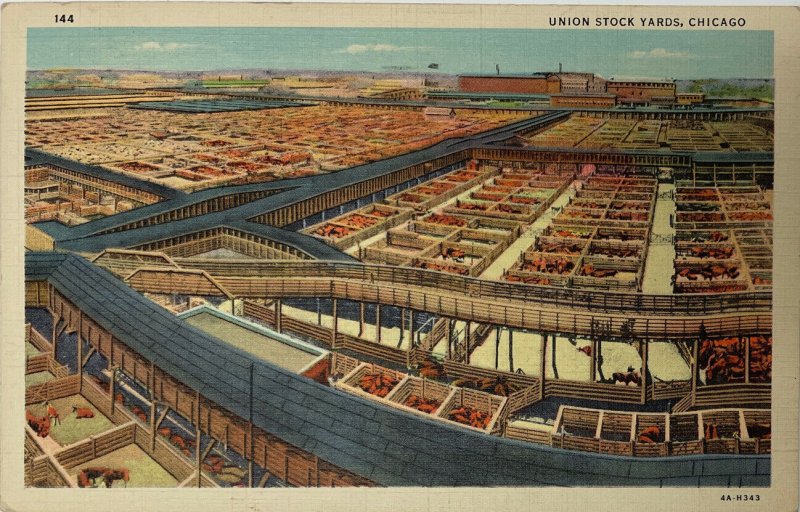 Vintage Posted Union Stock Yards, Chicago Illinois Postcard