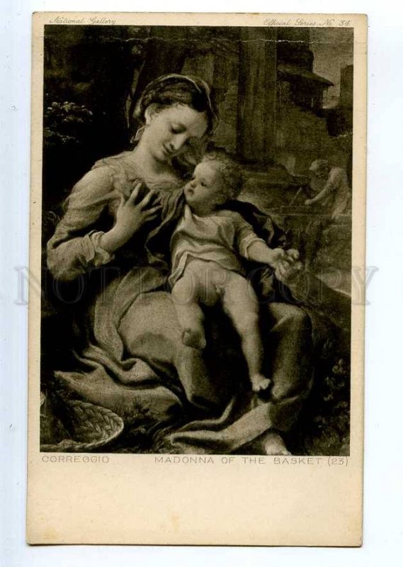 234882 MADONNA of the Basket by CORREGGIO Vintage postcard