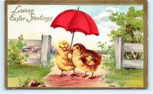 Postcard A Easter Greetings Chicks Using Umbrella Fantasy 1908  I4