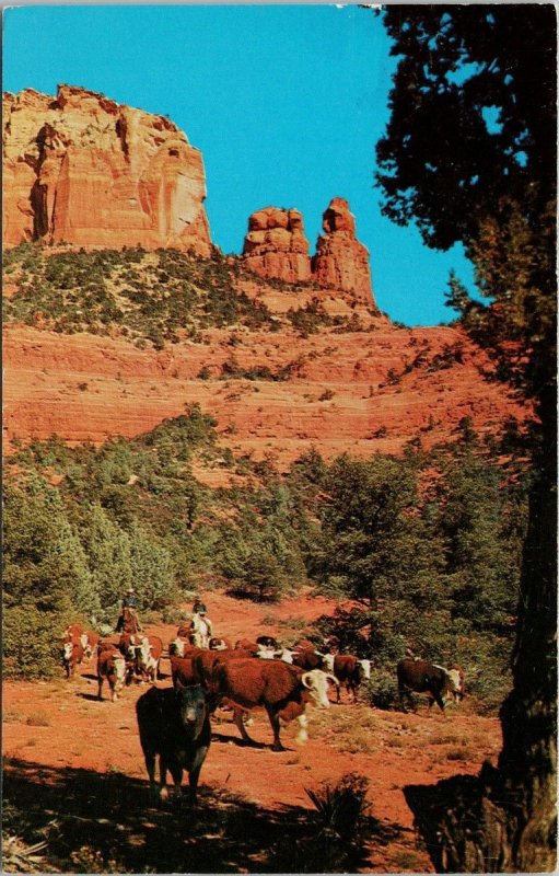 Oak Creek Canyon AZ Cattle Country Cows Cowboys Red Rocks Vintage Postcard H21