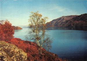 BR82571 loch ness inverness shire scotland