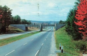 Postcard Modern Super Highway Rutherford New Jersey