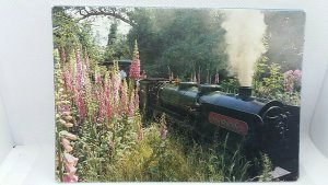 Job Lot Bulk Buy 10x New Bressingham Steam Engine Museum and Gardens Postcards 