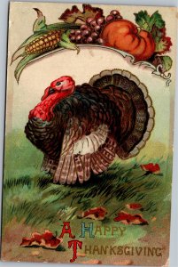 Postcard Thanksgiving  Turkey with pumpkin grapes and corn