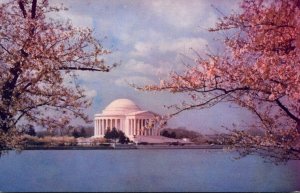 Washington D C Jefferson Memorial At Cherry Blossom Time