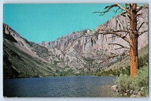 Carson City Nevada NV Postcard Convict Lake Western Story c1968 Vintage Antique