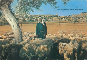 Postcard Israel Bethlehem The Shepherd's Field ethnic type shepherd with flock