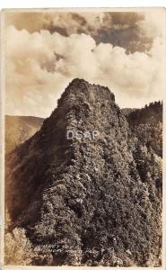 C74/ Great Smoky Mountains National Park Tennessee Postcard RPPC Chimney Top 22