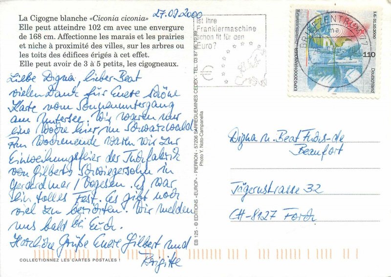 Postcard greeting card happy animals cigognes