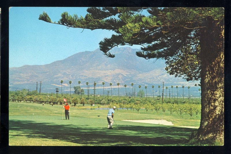 Filmore, California/CA Postcard, Elkins Ranch Golf Course, Golfing