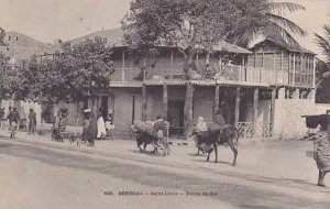 Senegal Saint-Louis Route de Sor