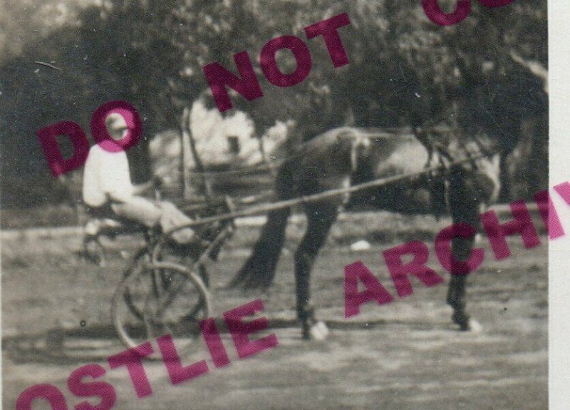 RPPC c1910 HARNESS RACING Horse Race Trotter TROTTING Sulky DRIVER POSING Rig 