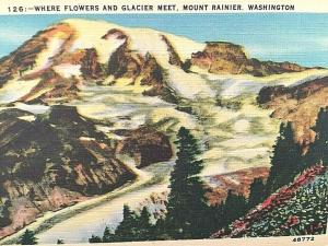 Postcard Where Flowers and Glacier meet, Mount Ranier, WA T2