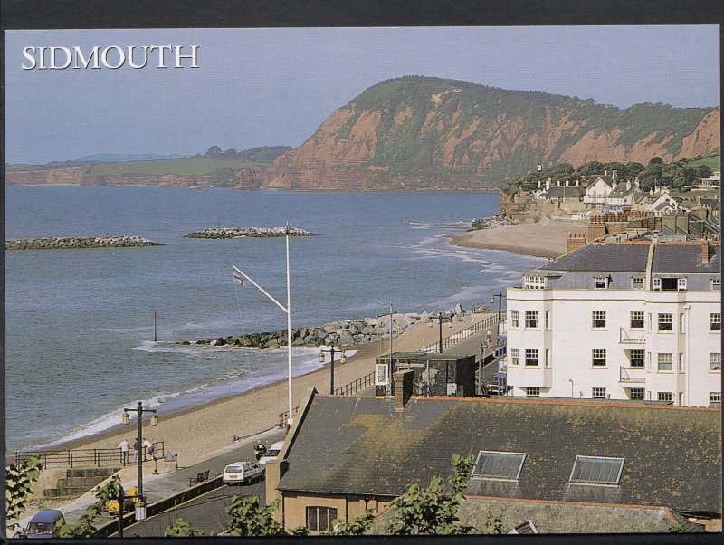 Devon Postcard - Sidmouth From Salcombe Hill     LC5624
