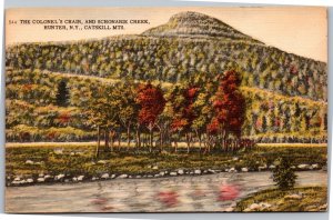 Postcard NY Hunter Catskill Mts Colonel's Chair and Schonarie Creek