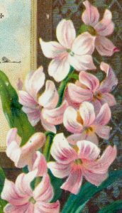 1880s Victorian Easter Trade Card Lovely Lilies Fab! F116