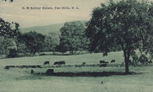 Evander KN Sehley Estate New Jersey Far Hills Antique Postcard