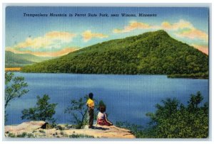 1951 Trempealeau Mountain Perrot State Park Winona Minnesota MN Vintage Postcard