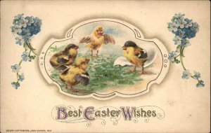 Easter Chicks Hatch Play Embossed Winsch c1912 Postcard