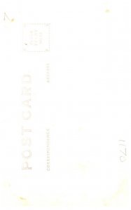 Floriida  Coral Gables Famous Sausage Tree