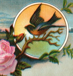 1880s John Horstmann's Lavarine Soap San Francisco F191