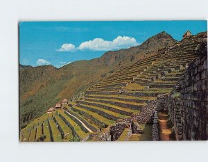 M-211207 Inca Terraces for Agriculture Machu Picchu Peru