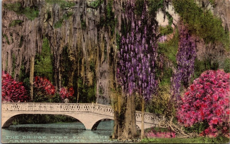 Vtg Charleston South Carolina SC Magnolia Gardens Bridge Over The Lake Postcard